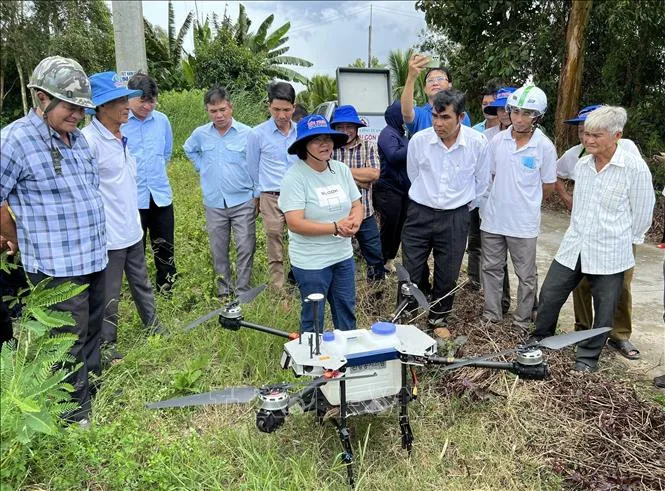 Digitalisasi Sawah Dorong Pertanian Padi Cerdas dan Tingkatkan Pendapatan Petani