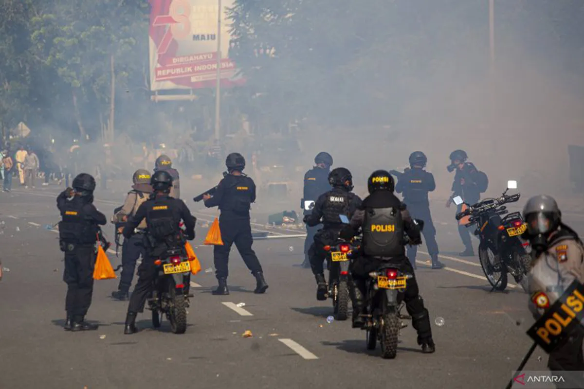 IAW: Kasus Rempang Jadi Pelajaran untuk Memperbaiki Tata Kelola Investasi