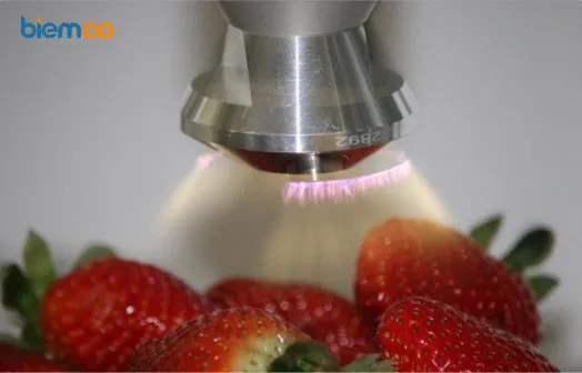 Cold Plasma Dinilai Berpotensi Perpanjang Umur Simpan Buah Segar Tanpa Pemanasan