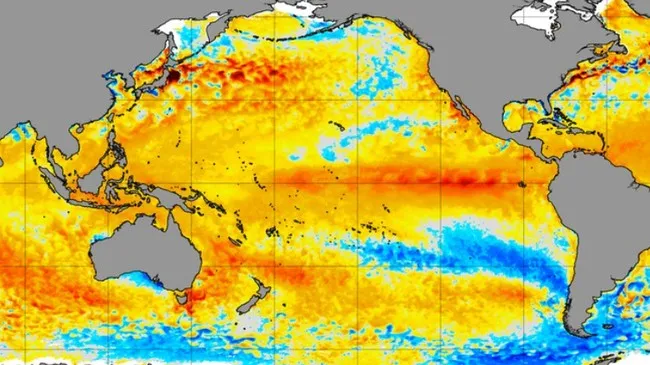 El Nino Berpotensi Menguat Mulai Mei, Pasar Energi Global Diwaspadai Kembali Bergejolak