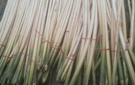 Singkah Irit, Kuliner Tradisional Dayak yang Menjaga Cita Rasa dan Kearifan Lokal