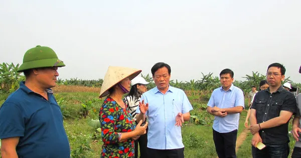 Keterbukaan Jadi Kunci Pembebasan Lahan Proyek Infrastruktur Utama di Hanoi