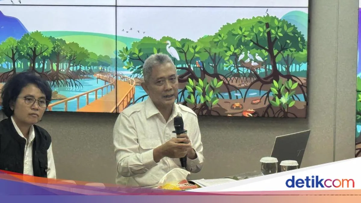 KLH Tinjau Kawasan Bencana di Sumatera, Rekomendasi Tata Ruang Dikirim ke BPN