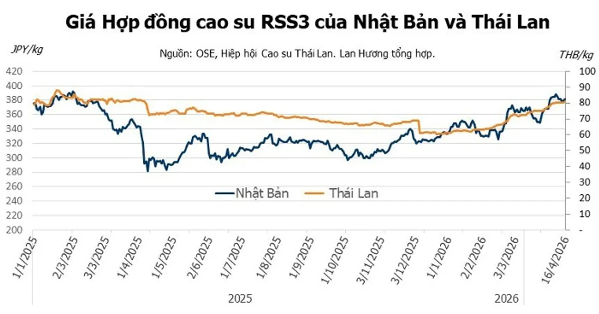 Harga Karet 17 April 2026: Bursa Utama Berbalik Menguat, Pasar Menanti Musim Panen Puncak