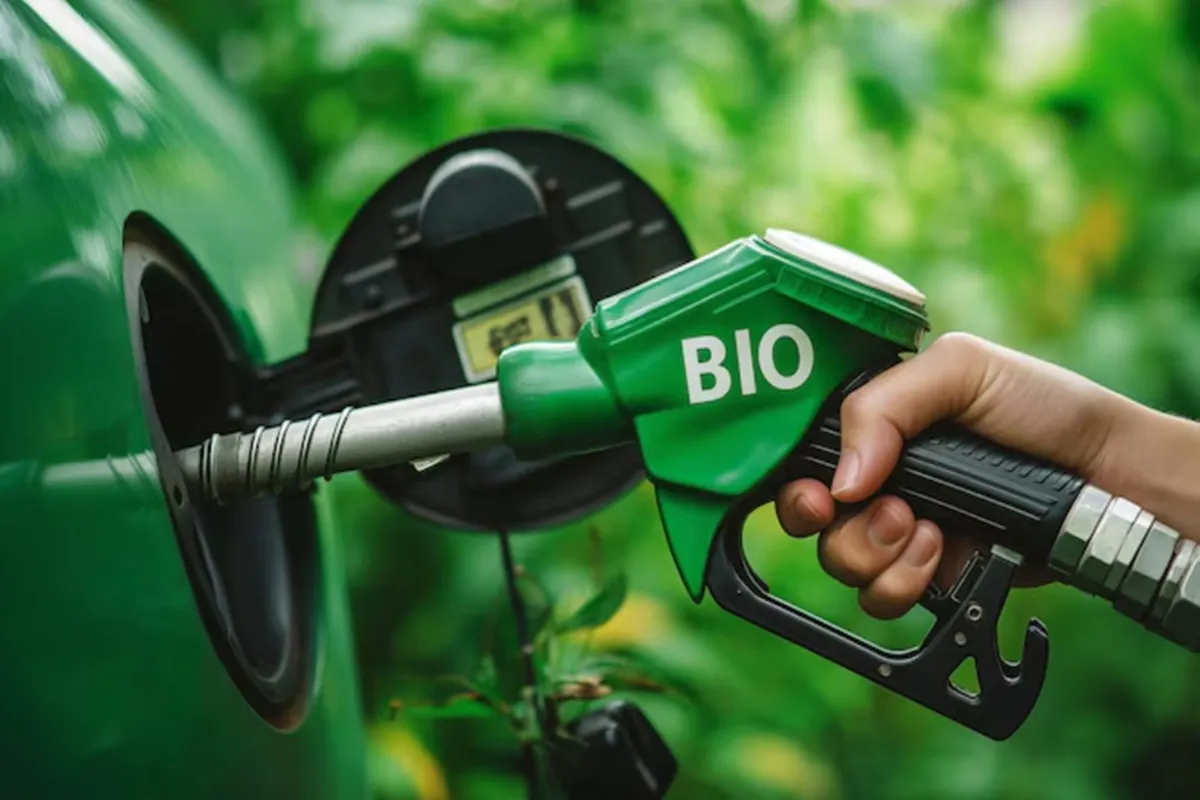 Bappenas Dorong Hilirisasi Sawit Berbasis Riset untuk Produk Bernilai Tambah Tinggi