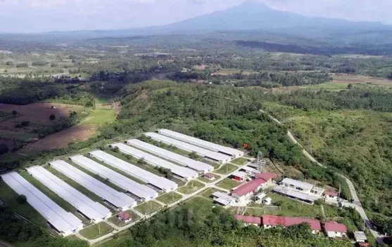 Pemkab Sumedang Tata Ulang Strategi Pengembangan Kawasan BUTOM untuk 2027, Fokus pada Hilirisasi Pertanian