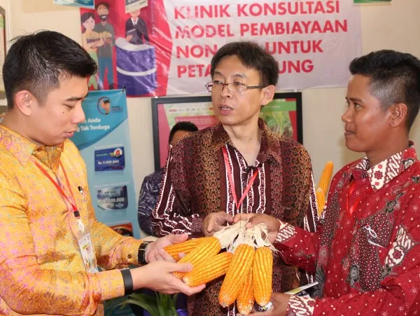 Sejumlah Fintech Bersinergi Salurkan Pembiayaan untuk Petani Padi di Purwakarta dan Majalengka