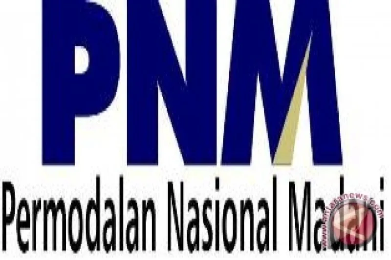 Wacana Transformasi PNM Jadi Bank Khusus UMKM Dinilai Mendesak untuk Dorong Efisiensi dan Sektor Riil
