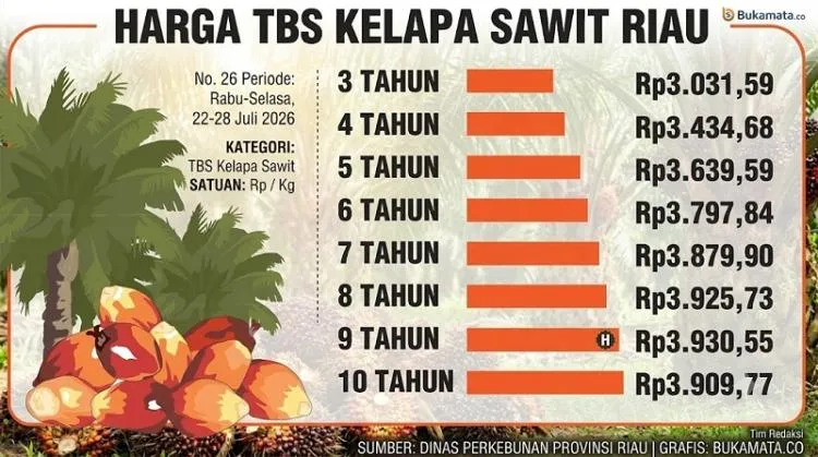 Harga TBS Sawit Riau Naik, Umur 9 Tahun Capai Rp3.930,55 per Kg untuk Periode 22–28 Juli 2026