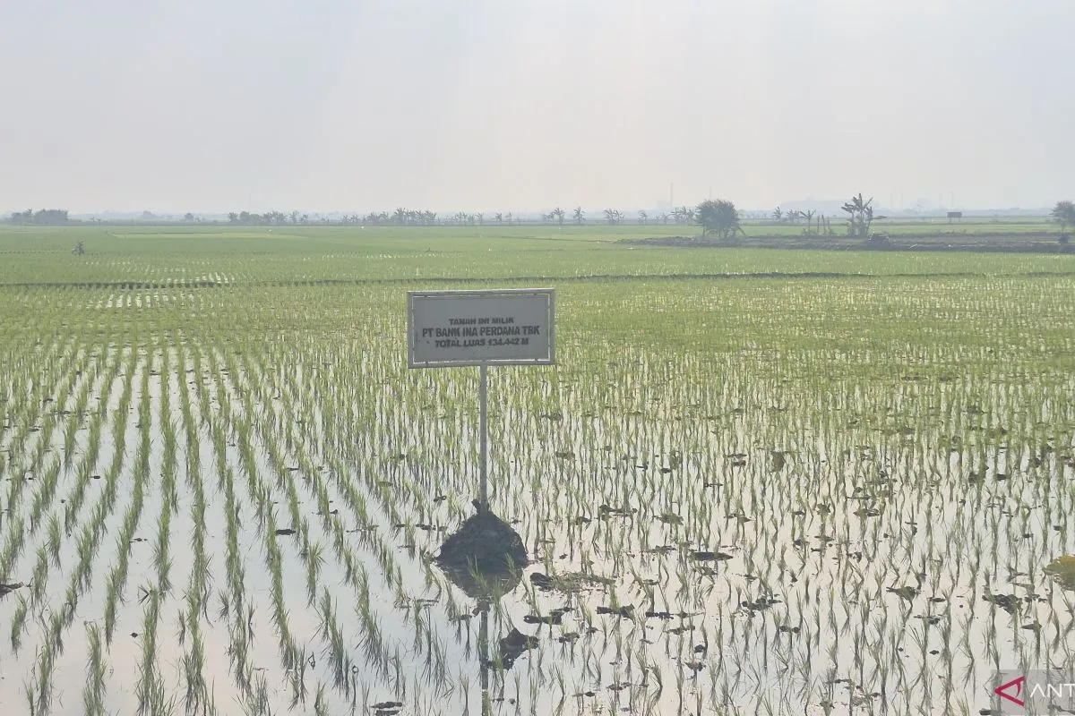 BPN Kabupaten Bandung Targetkan 24.000 Hektare LP2B Masuk RTRW pada 2027