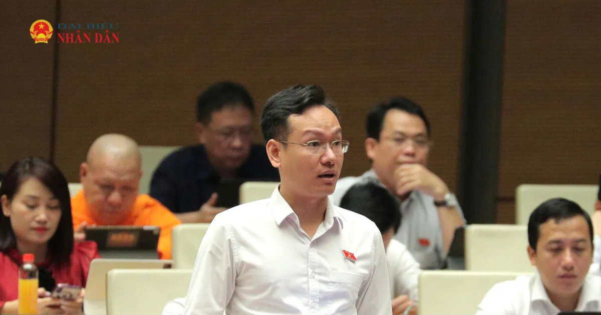 Delegasi Dorong Transparansi Biaya Emigrasi dan Penguatan Perlindungan Pekerja Vietnam di Luar Negeri
