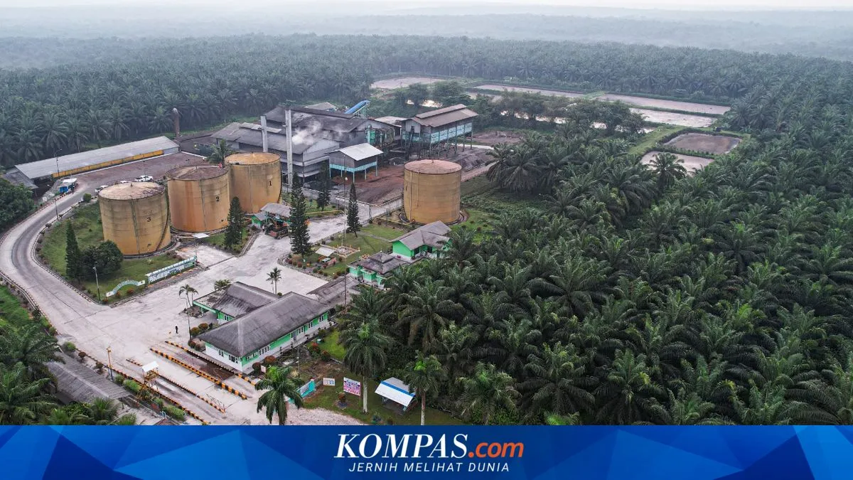 BPS: Ekonomi Triwulan I-2026 Tumbuh 5,61 Persen, Pertanian Kembali Jadi Penopang