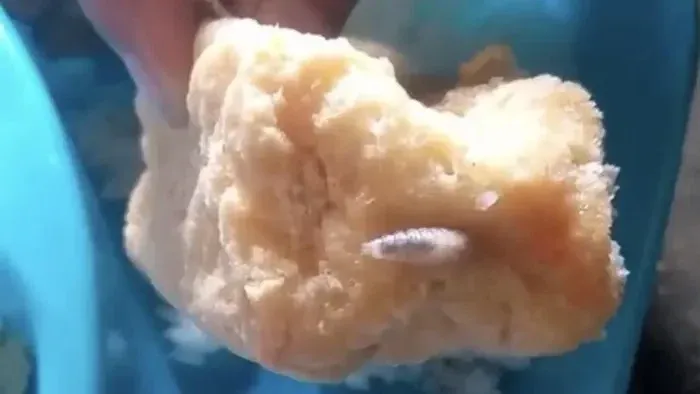 Video Tahu Goreng Diduga Berbelatung pada Program MBG di Banyuwangi Beredar, Pengelola Dapur Beri Klarifikasi