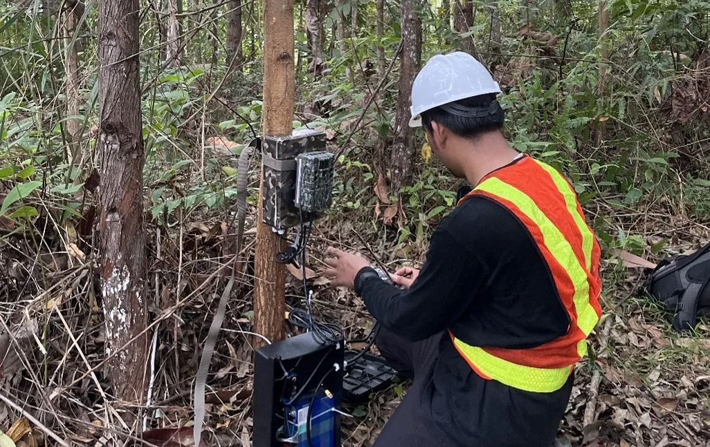 Fakultas Kehutanan UGM Kembangkan Kamera Trap Berbasis Internet untuk Monitoring Hutan di Wanagama Nusantara, IKN