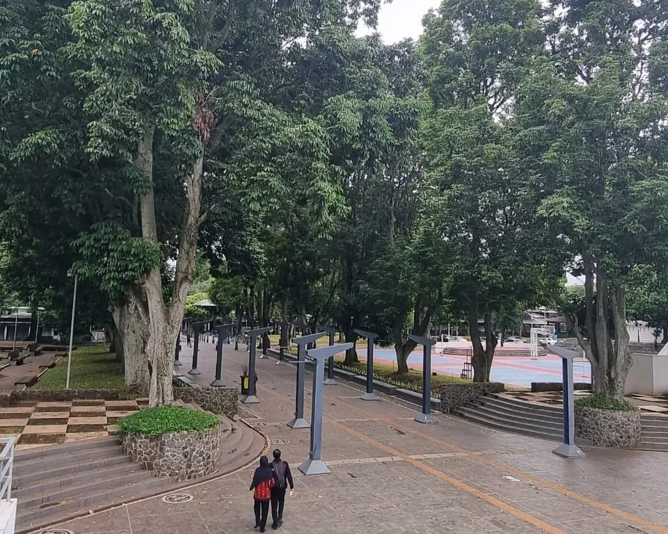 Ahli Tata Kota ITB: Pohon dan Ruang Hijau Kunci Ketahanan Lingkungan Cekungan Bandung
