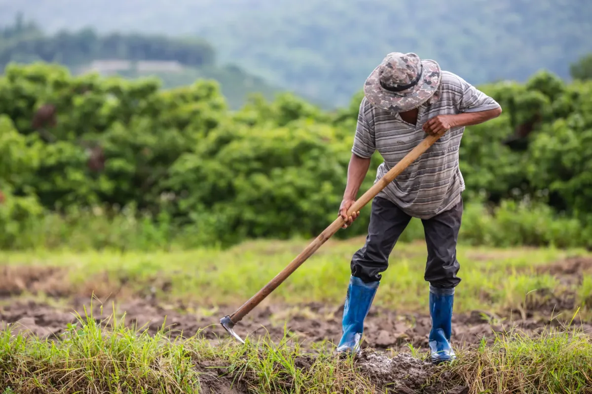 Reforma Agraria Indonesia: Tujuan, Langkah Percepatan, dan Catatan Kritis atas Implementasinya