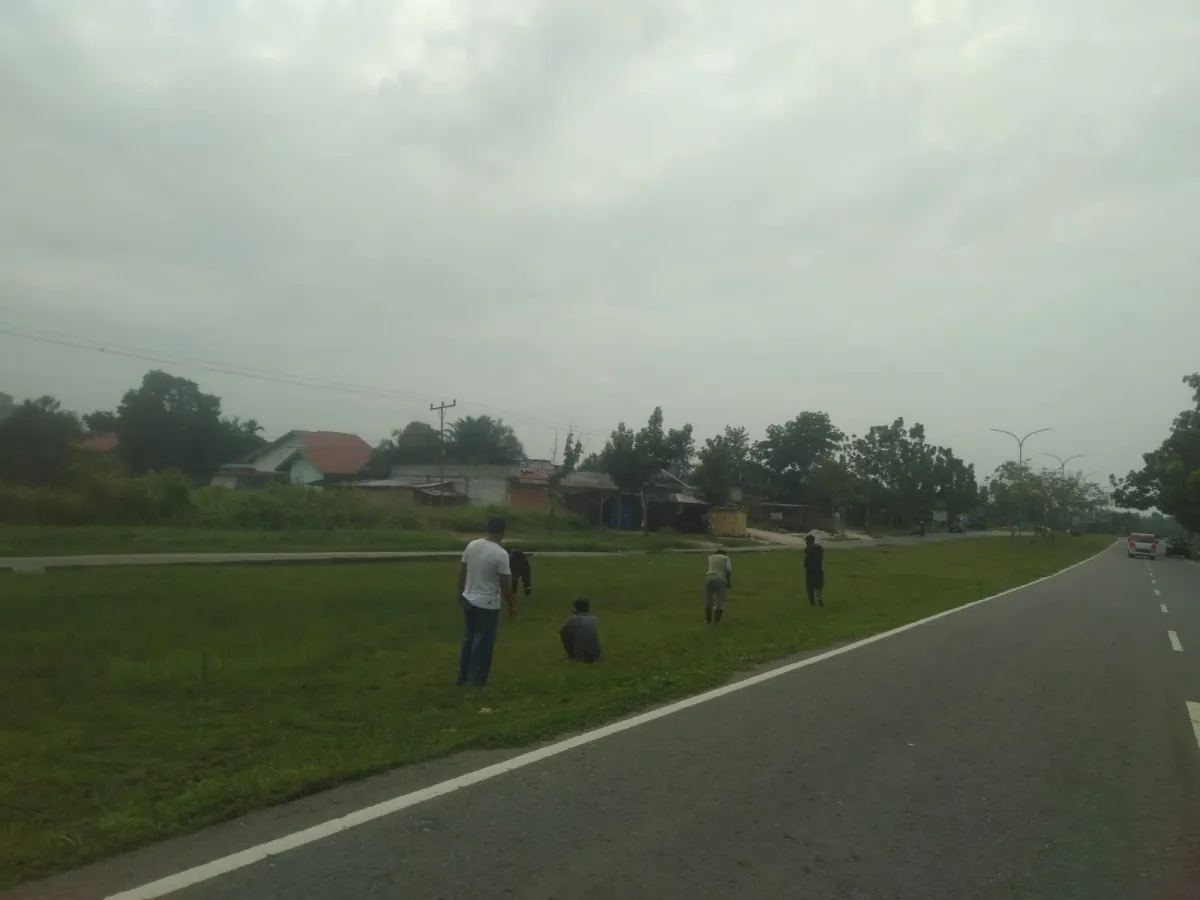 PUPR Pelalawan: Penanaman Pohon di Kawasan Tugu Bono Bagian dari Pengembangan RTH