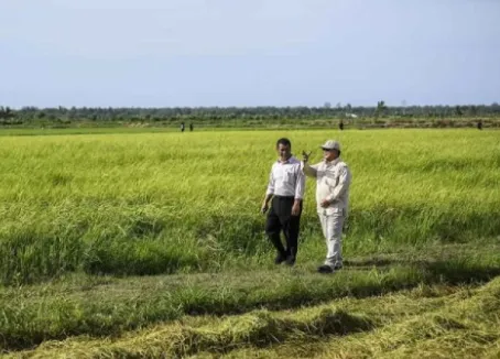 Survei BI: Aktivitas Dunia Usaha Tetap Positif pada Triwulan I 2026, Pertanian Jadi Penopang