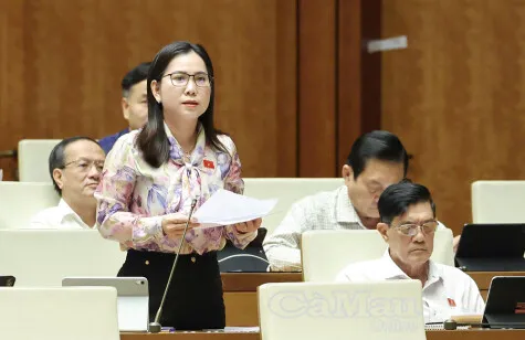 Delegasi Ca Mau Dorong Penyempurnaan Kebijakan Migas agar Lebih Fleksibel dan Transparan