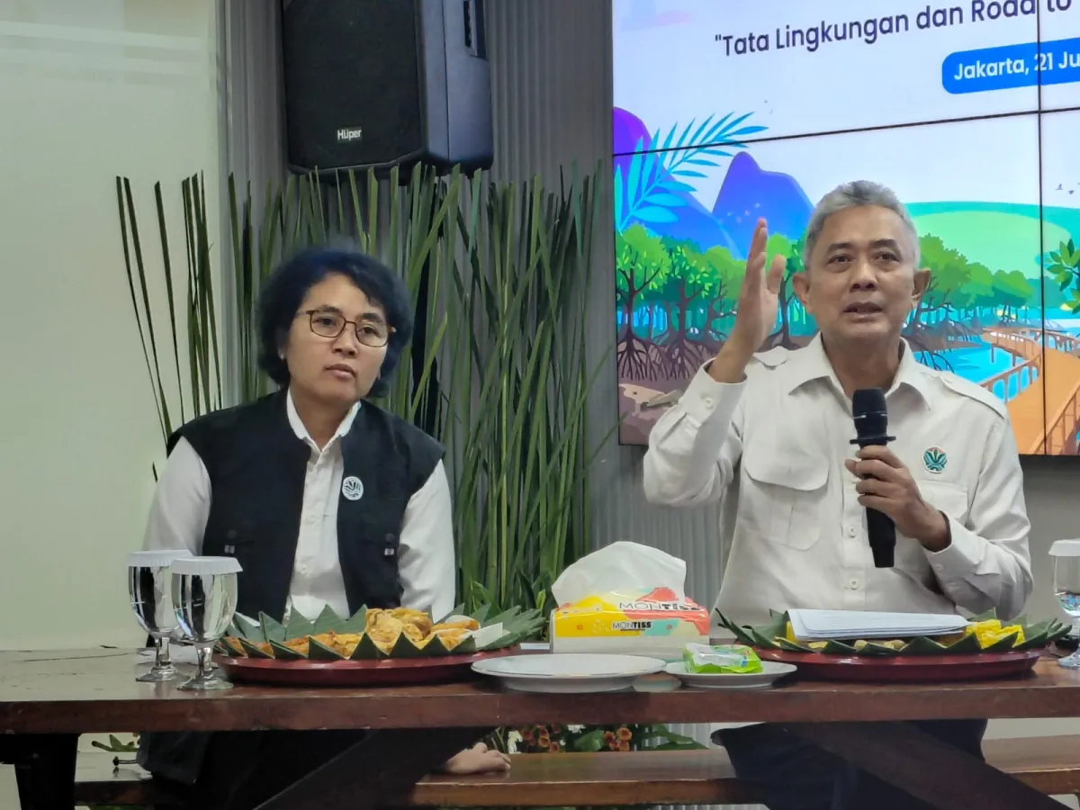 KLH Usulkan Penataan Ulang Tata Ruang di Aceh, Sumut, dan Sumbar Usai Banjir Besar