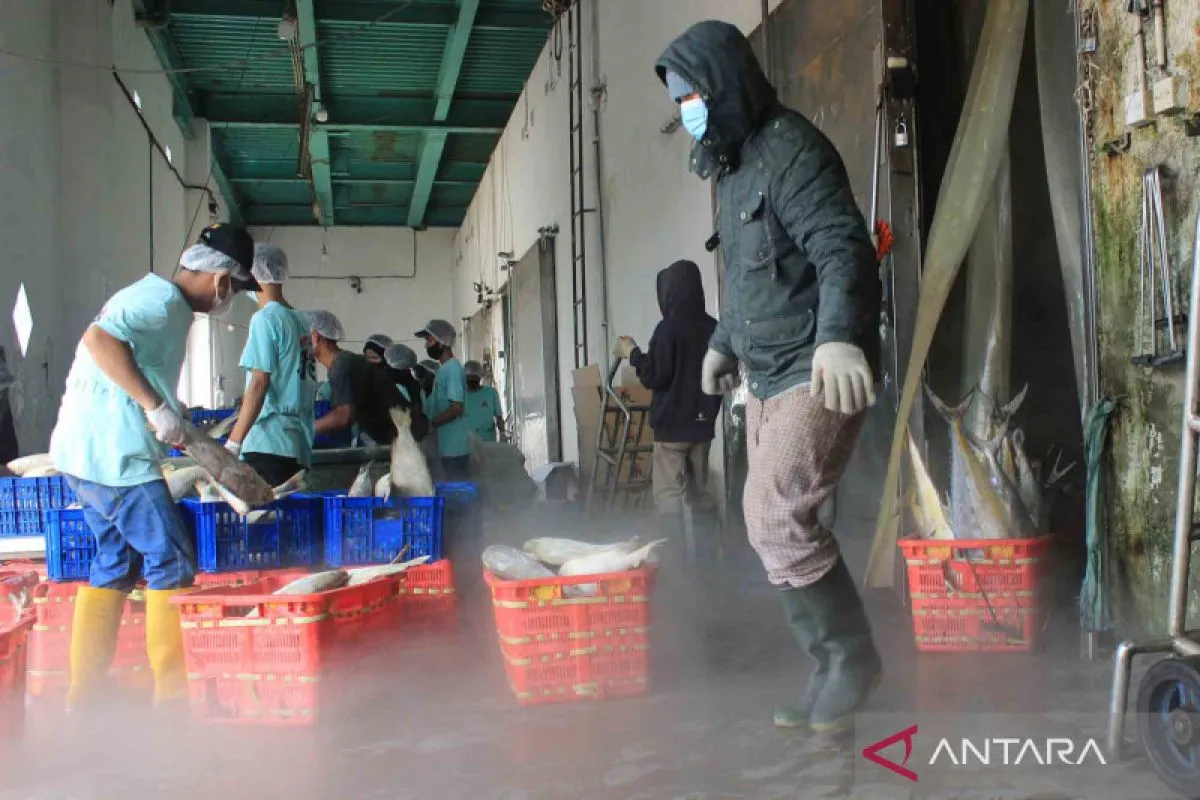 Survei BI: Kinerja Dunia Usaha Tetap Terjaga pada Triwulan I 2026