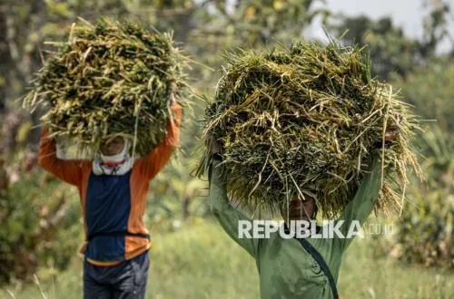 Survei BI: Kinerja Dunia Usaha Kuartal I 2026 Tetap Positif, Jasa Keuangan dan Pertanian Menonjol