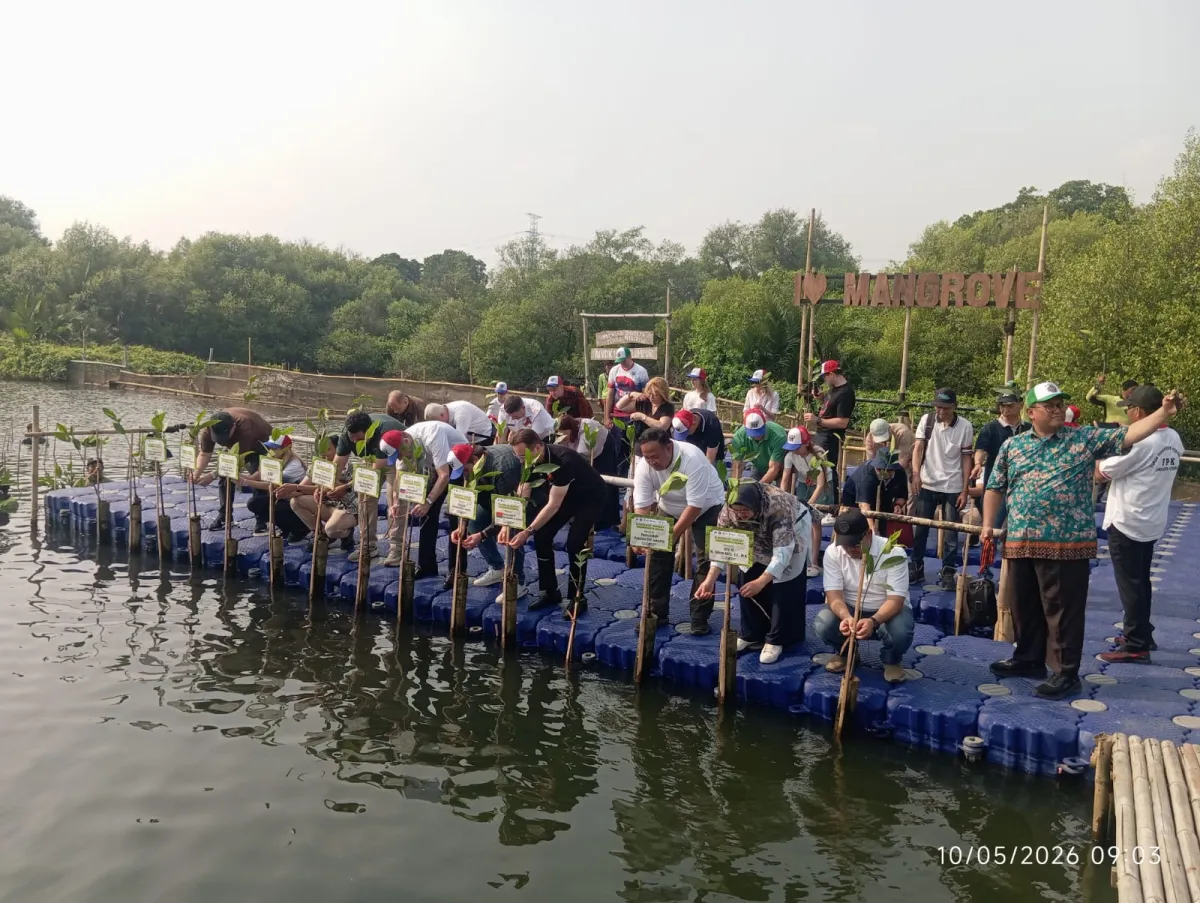 Peringatan Victory Day Rusia di Jakarta Utara Diwarnai Penanaman 100 Mangrove di Hutan Lindung Angke Kapuk
