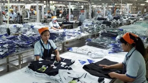 Survei Apindo: Mayoritas Perusahaan Tahan Rekrutmen, Tekanan Regulasi dan Kenaikan UMK Jadi Sorotan