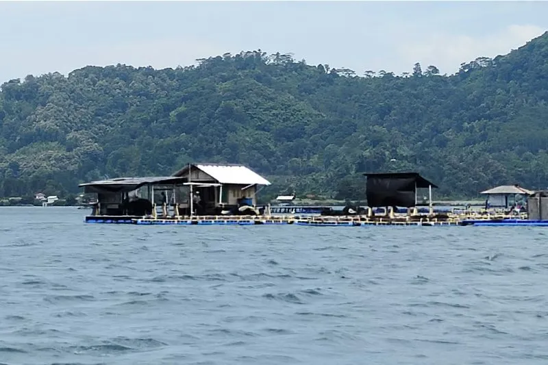 Pemprov Lampung: Penataan Ruang Laut Berkelanjutan Dukung Penerapan Ekonomi Biru