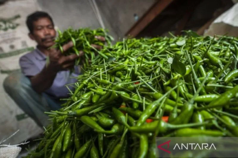 Harga Bahan Dapur di Banda Aceh Berfluktuasi, Cabai Merah Turun ke Rp60–65 Ribu per Kg