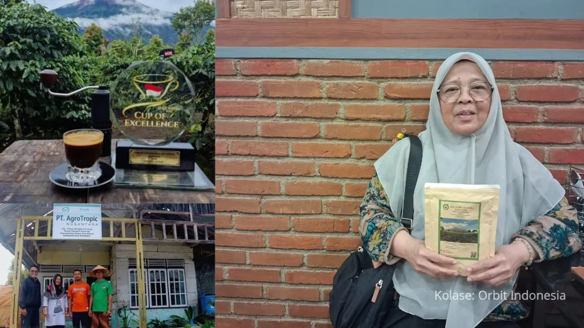 sumber : kolase orbit