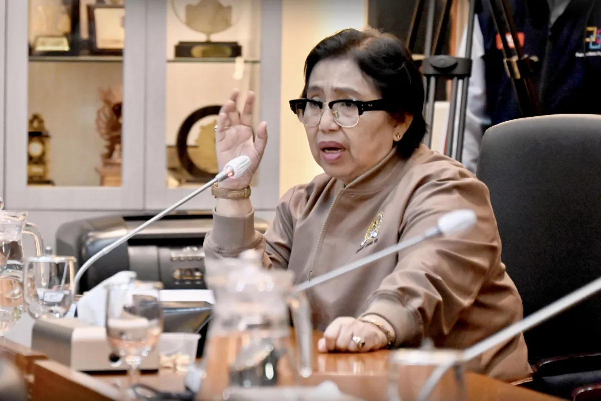 Anggota Komisi IX DPR RI Irma Suryani.