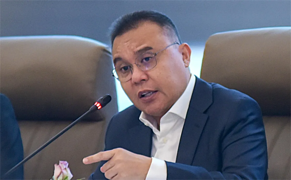 Wakil Ketua DPR RI Sufmi Dasco Ahmad.