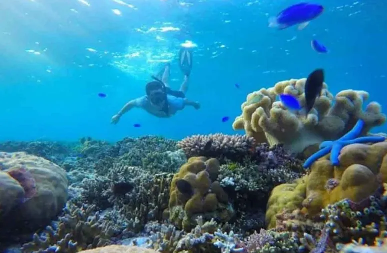 Objek wisata Wakatobi, Sulawesi Tenggara.