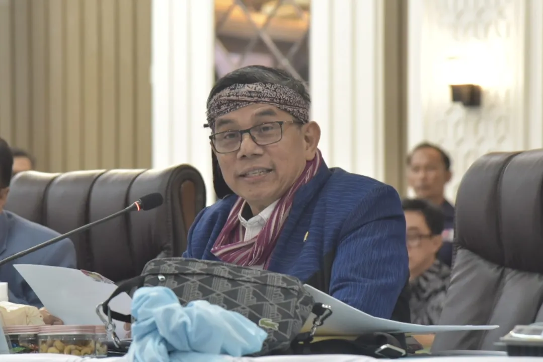 Anggota Komisi III DPR RI Hinca Panjaitan.