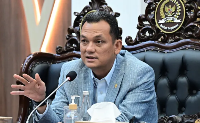 Wakil Ketua Badan Legislasi DPR RI Martin Manurung.