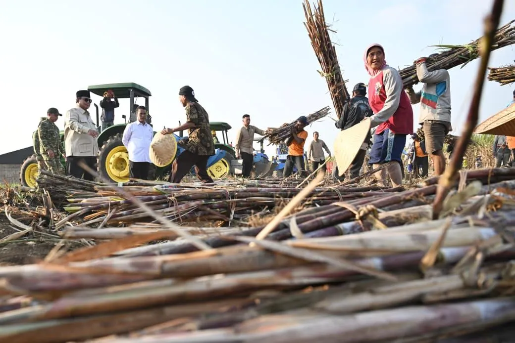 Petani sedang melaksanakan panen raya tebu di Malang, Jawa Timur.