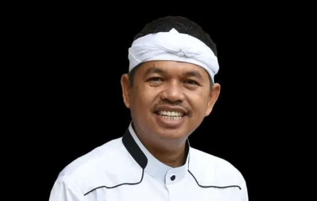 Dedi Mulyadi.