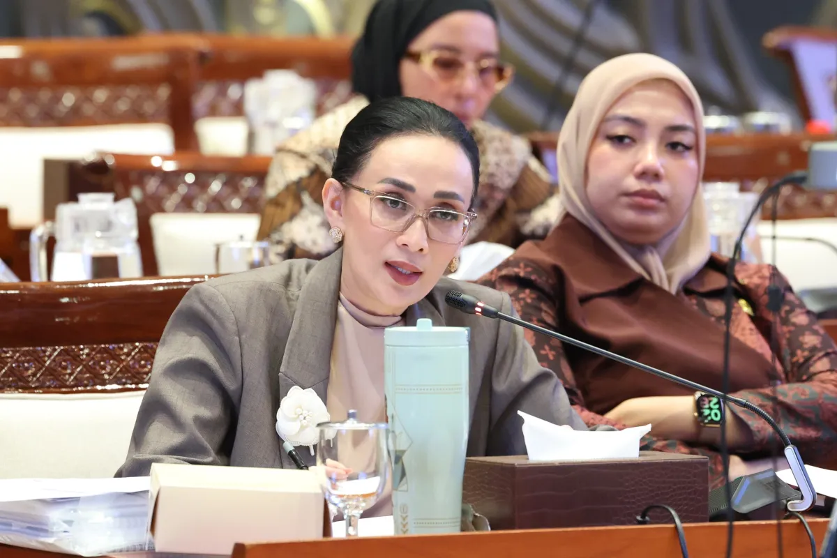 Anggota Komisi I DPR RI Amelia Anggraini.