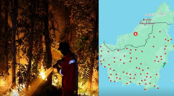 Ilustrasi kebakaran hutan dan lahan.