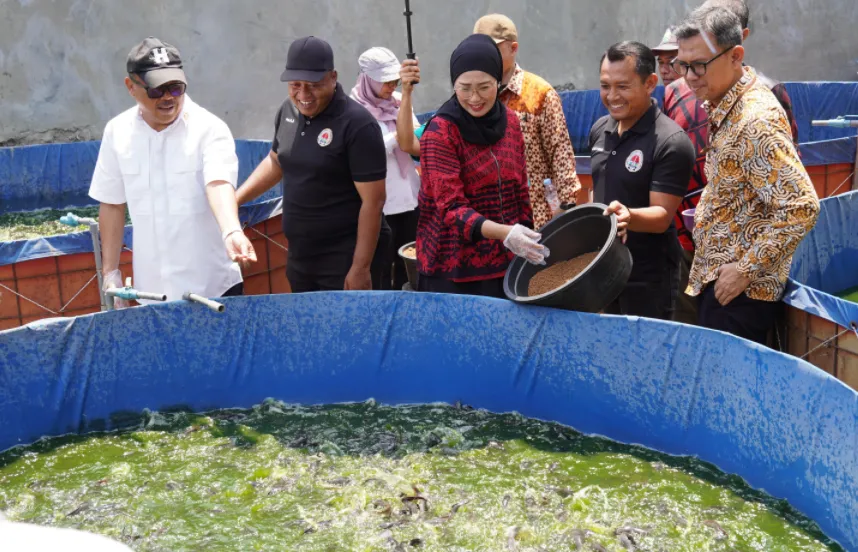 Rombongan delegasi meninjau inisiatif ketahanan pangan lokal di sentra Budidaya Lele Mina Candi 3.