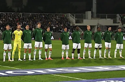 Tim nasional Republik Irlandia.