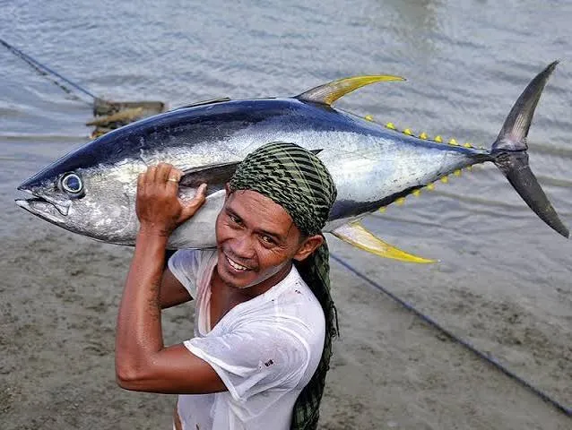 Laut sebagai sumber daya penting Indonesia.