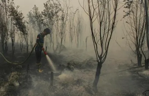 Kebakaran hutan di Indonesia menghasilkan kabut asap di kota-kota.