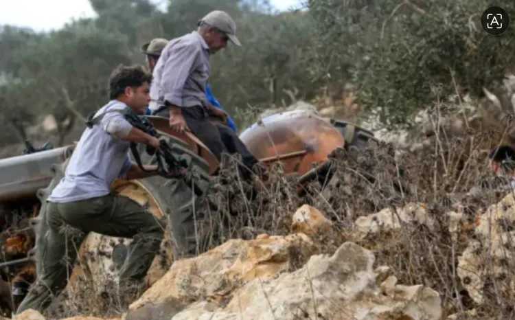 Penjajah Yahudi menyerang warga Palestina yang sedang memanen zaitun di Tepi Barat.