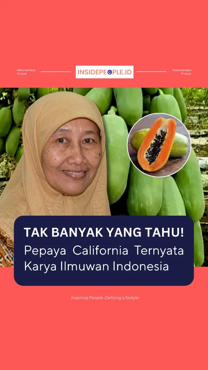 Tak banyak Yang tahu Pepaya Califronia Ternyata Karya Ilmuwan Indonesia