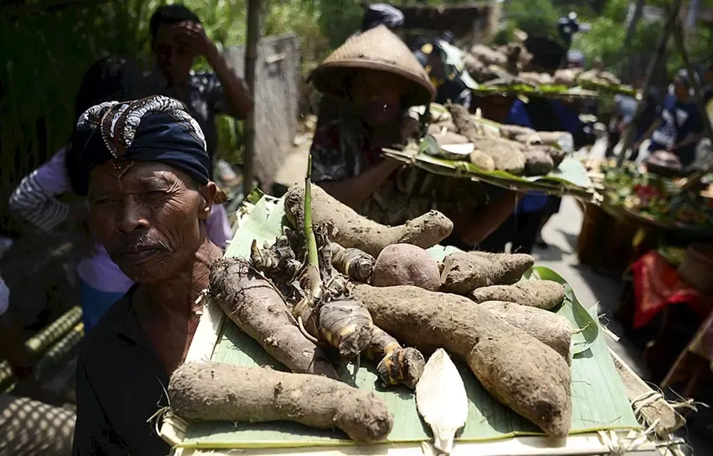 Jawa Tengah Miliki Potensi Sumber Pangan Lokal yang Belum Maksimal Dimanfaatkan
