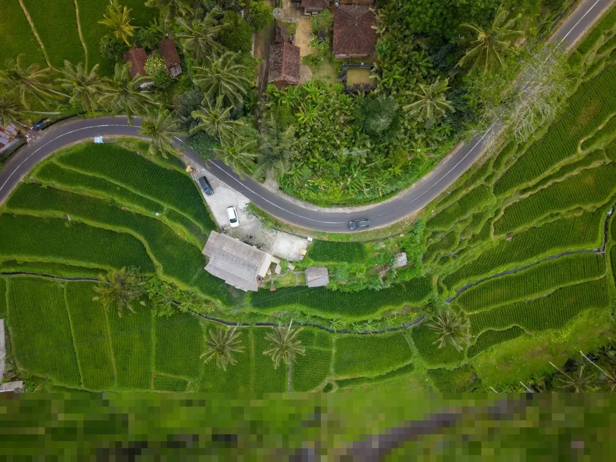 Bursa Efek Indonesia Hentikan Sementara Perdagangan Saham Tujuh Emiten Akibat Lonjakan Harga Signifikan