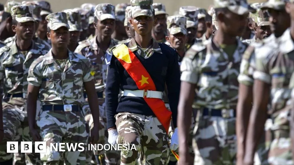 Krisis Tigray di Ethiopia: Latar Belakang dan Dampak Konflik yang Terus Berlanjut