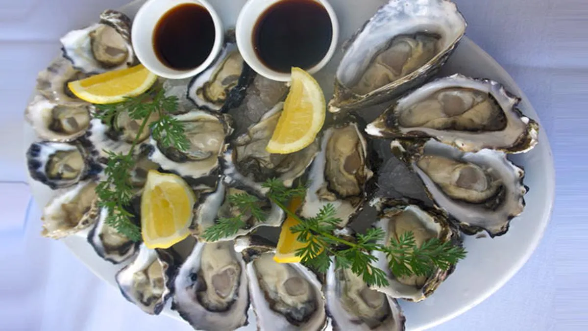 Menikmati Tiram Mentah Khas Sydney di Pelabuhan Ikonik Sydney Harbour